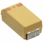 T493C106K025BH6410参考图片