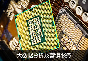 大数据分析及营销服务