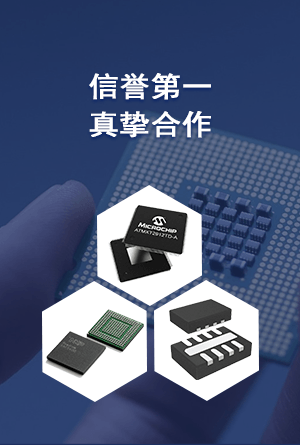 为您精选优势图